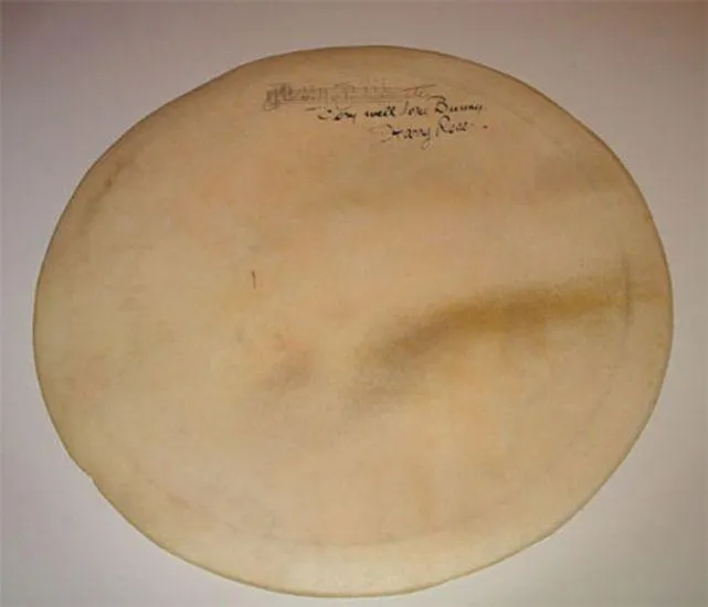 Banjo Skin